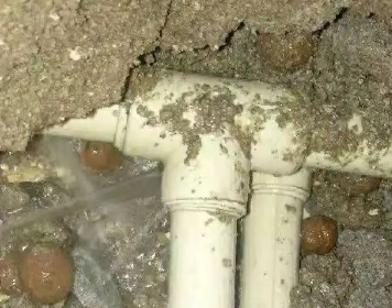 来宾市测漏水多少钱