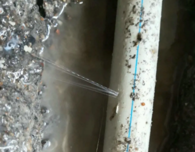 来宾市测漏水哪家好