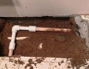 来宾市测漏水哪家好