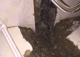 来宾市卫生间测漏水哪家好