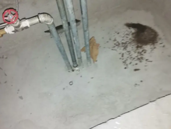 来宾市卫生间测漏水价格明细