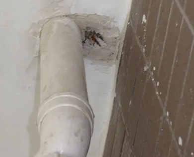 来宾市漏水检测哪家好